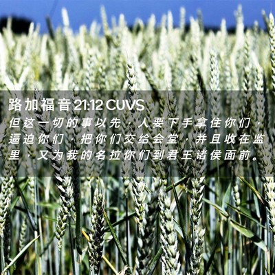 Picture 02 - 路 加 福 音 21:12 CUVS - 但 这 一 切 的 事 以 先 ， 人 要 下 - Bible Verse Picture