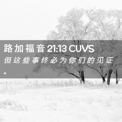 Picture 02 - 路 加 福 音 21:13 CUVS - 但 这 些 事 终 必 为 你 们 的 见 证 - Bible Verse Picture