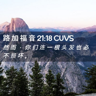 Picture 02 - 路 加 福 音 21:18 CUVS - 然 而 ， 你 们 连 一 根 头 发 也 必 - Bible Verse Picture