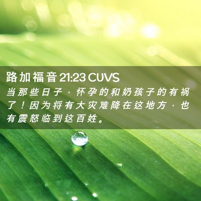 Picture 02 - 路 加 福 音 21:23 CUVS - 当 那 些 日 子 ， 怀 孕 的 和 奶 孩 - Bible Verse Picture