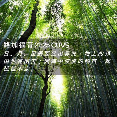 Picture 02 - 路 加 福 音 21:25 CUVS - 日 、 月 、 星 辰 要 显 出 异 兆 ， - Bible Verse Picture