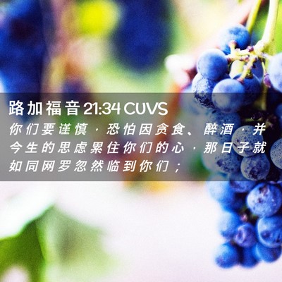 Picture 02 - 路 加 福 音 21:34 CUVS - 你 们 要 谨 慎 ， 恐 怕 因 贪 食 、 - Bible Verse Picture