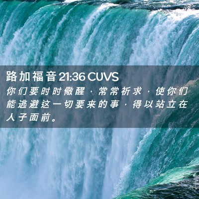 Picture 02 - 路 加 福 音 21:36 CUVS - 你 们 要 时 时 儆 醒 ， 常 常 祈 求 - Bible Verse Picture