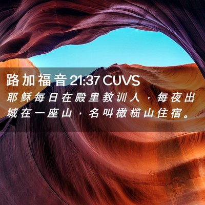 Picture 02 - 路 加 福 音 21:37 CUVS - 耶 稣 每 日 在 殿 里 教 训 人 ， 每 - Bible Verse Picture