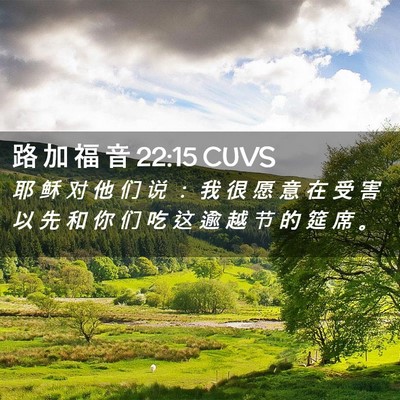 Picture 02 - 路 加 福 音 22:15 CUVS - 耶 稣 对 他 们 说 ： 我 很 愿 意 在 - Bible Verse Picture