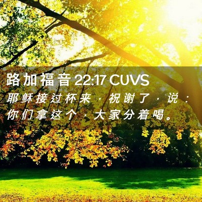 Picture 02 - 路 加 福 音 22:17 CUVS - 耶 稣 接 过 杯 来 ， 祝 谢 了 ， 说 - Bible Verse Picture