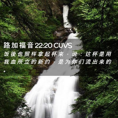 Picture 02 - 路 加 福 音 22:20 CUVS - 饭 後 也 照 样 拿 起 杯 来 ， 说 ： - Bible Verse Picture