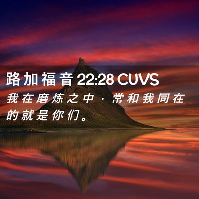 Picture 02 - 路 加 福 音 22:28 CUVS - 我 在 磨 炼 之 中 ， 常 和 我 同 在 - Bible Verse Picture