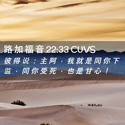 Picture 02 - 路 加 福 音 22:33 CUVS - 彼 得 说 ： 主 阿 ， 我 就 是 同 你 - Bible Verse Picture