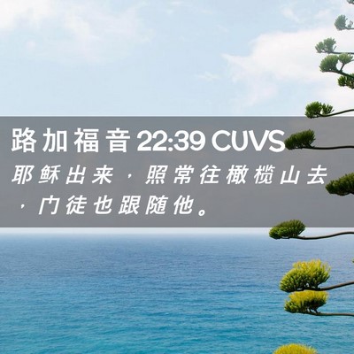 Picture 02 - 路 加 福 音 22:39 CUVS - 耶 稣 出 来 ， 照 常 往 橄 榄 山 去 - Bible Verse Picture
