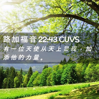 Picture 02 - 路 加 福 音 22:43 CUVS - 有 一 位 天 使 从 天 上 显 现 ， 加 - Bible Verse Picture