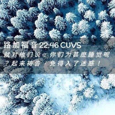 Picture 02 - 路 加 福 音 22:46 CUVS - 就 对 他 们 说 ： 你 们 为 甚 麽 睡 - Bible Verse Picture