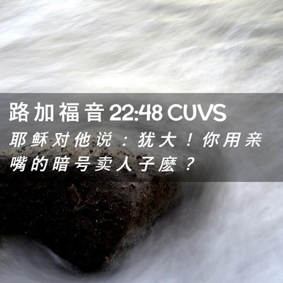 Picture 02 - 路 加 福 音 22:48 CUVS - 耶 稣 对 他 说 ： 犹 大 ！ 你 用 亲 - Bible Verse Picture