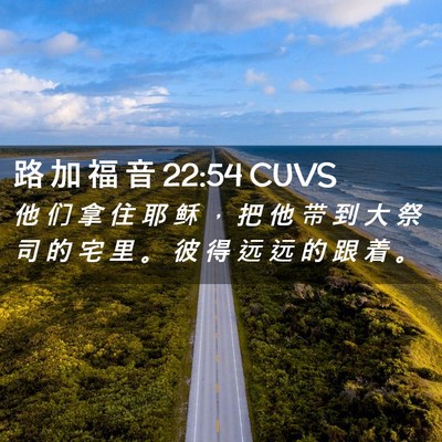 Picture 02 - 路 加 福 音 22:54 CUVS - 他 们 拿 住 耶 稣 ， 把 他 带 到 大 - Bible Verse Picture