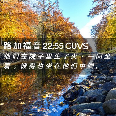 Picture 02 - 路 加 福 音 22:55 CUVS - 他 们 在 院 子 里 生 了 火 ， 一 同 - Bible Verse Picture