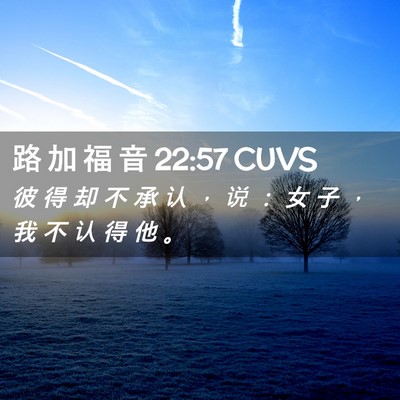 Picture 02 - 路 加 福 音 22:57 CUVS - 彼 得 却 不 承 认 ， 说 ： 女 子 ， - Bible Verse Picture