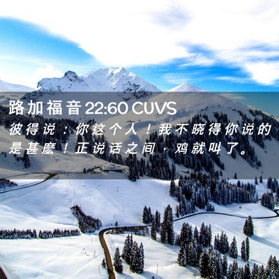 Picture 02 - 路 加 福 音 22:60 CUVS - 彼 得 说 ： 你 这 个 人 ！ 我 不 晓 - Bible Verse Picture