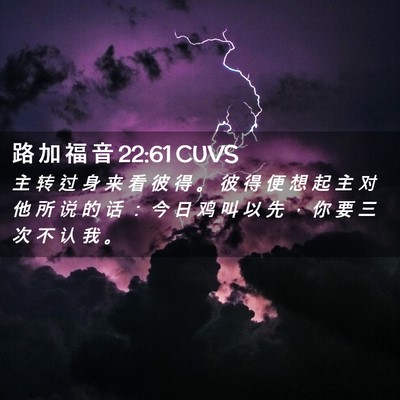 Picture 02 - 路 加 福 音 22:61 CUVS - 主 转 过 身 来 看 彼 得 。 彼 得 便 - Bible Verse Picture