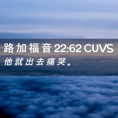 Picture 02 - 路 加 福 音 22:62 CUVS - 他 就 出 去 痛 哭 - Bible Verse Picture