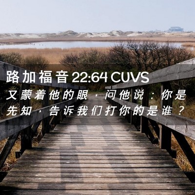 Picture 02 - 路 加 福 音 22:64 CUVS - 又 蒙 着 他 的 眼 ， 问 他 说 ： 你 - Bible Verse Picture