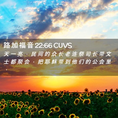 Picture 02 - 路 加 福 音 22:66 CUVS - 天 一 亮 ， 民 间 的 众 长 老 连 祭 - Bible Verse Picture