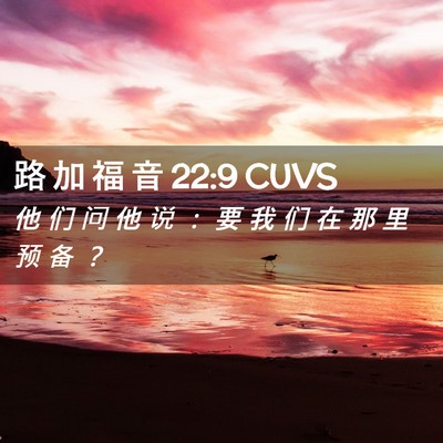 Picture 02 - 路 加 福 音 22:9 CUVS - 他 们 问 他 说 ： 要 我 们 在 那 里 - Bible Verse Picture