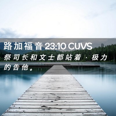 Picture 02 - 路 加 福 音 23:10 CUVS - 祭 司 长 和 文 士 都 站 着 ， 极 力 - Bible Verse Picture