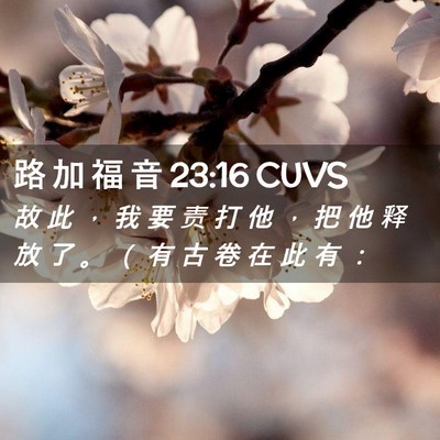 Picture 02 - 路 加 福 音 23:16 CUVS - 故 此 ， 我 要 责 打 他 ， 把 他 释 - Bible Verse Picture