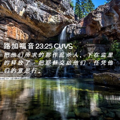 Picture 02 - 路 加 福 音 23:25 CUVS - 把 他 们 所 求 的 那 作 乱 杀 人 、 - Bible Verse Picture
