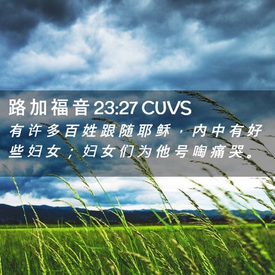 Picture 02 - 路 加 福 音 23:27 CUVS - 有 许 多 百 姓 跟 随 耶 稣 ， 内 中 - Bible Verse Picture