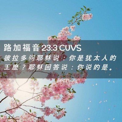 Picture 02 - 路 加 福 音 23:3 CUVS - 彼 拉 多 问 耶 稣 说 ： 你 是 犹 太 - Bible Verse Picture