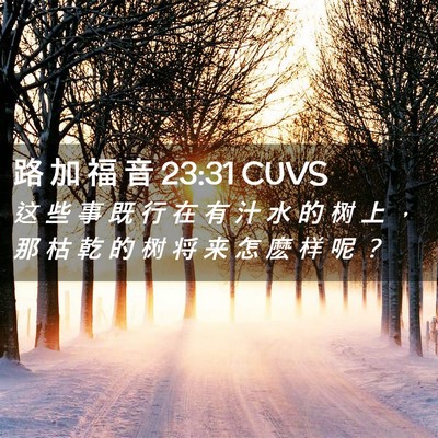 Picture 02 - 路 加 福 音 23:31 CUVS - 这 些 事 既 行 在 有 汁 水 的 树 上 - Bible Verse Picture