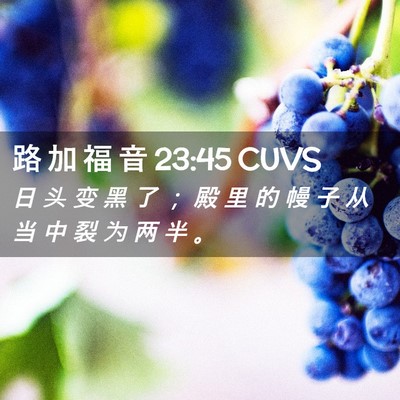 Picture 02 - 路 加 福 音 23:45 CUVS - 日 头 变 黑 了 ； 殿 里 的 幔 子 从 - Bible Verse Picture