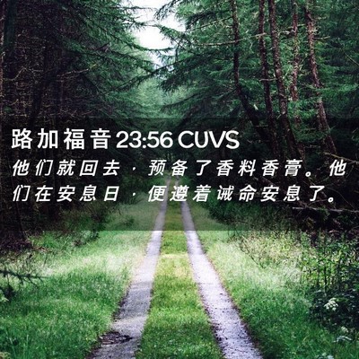 Picture 02 - 路 加 福 音 23:56 CUVS - 他 们 就 回 去 ， 预 备 了 香 料 香 - Bible Verse Picture