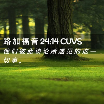 Picture 02 - 路 加 福 音 24:14 CUVS - 他 们 彼 此 谈 论 所 遇 见 的 这 一 - Bible Verse Picture