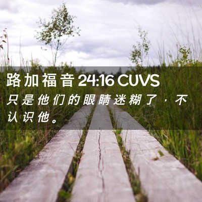 Picture 02 - 路 加 福 音 24:16 CUVS - 只 是 他 们 的 眼 睛 迷 糊 了 ， 不 - Bible Verse Picture