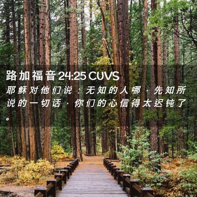 Picture 02 - 路 加 福 音 24:25 CUVS - 耶 稣 对 他 们 说 ： 无 知 的 人 哪 - Bible Verse Picture