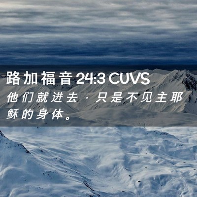 Picture 02 - 路 加 福 音 24:3 CUVS - 他 们 就 进 去 ， 只 是 不 见 主 耶 - Bible Verse Picture