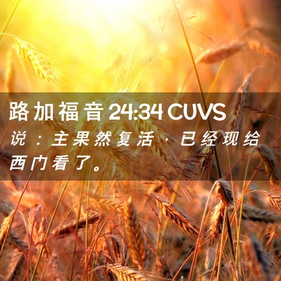 Picture 02 - 路 加 福 音 24:34 CUVS - 说 ： 主 果 然 复 活 ， 已 经 现 给 - Bible Verse Picture
