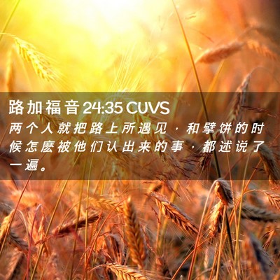 Picture 02 - 路 加 福 音 24:35 CUVS - 两 个 人 就 把 路 上 所 遇 见 ， 和 - Bible Verse Picture