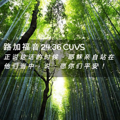 Picture 02 - 路 加 福 音 24:36 CUVS - 正 说 这 话 的 时 候 ， 耶 稣 亲 自 - Bible Verse Picture