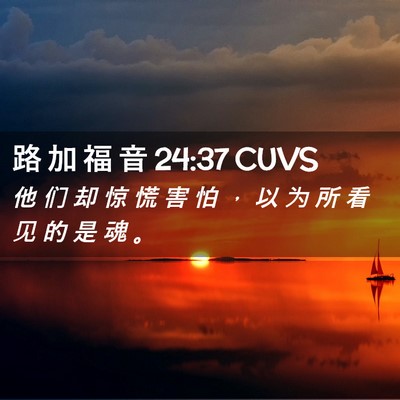 Picture 02 - 路 加 福 音 24:37 CUVS - 他 们 却 惊 慌 害 怕 ， 以 为 所 看 - Bible Verse Picture