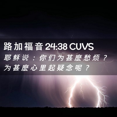 Picture 02 - 路 加 福 音 24:38 CUVS - 耶 稣 说 ： 你 们 为 甚 麽 愁 烦 ？ - Bible Verse Picture