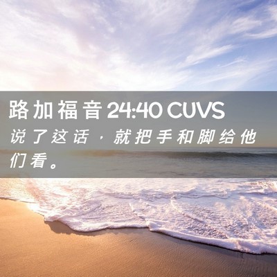 Picture 02 - 路 加 福 音 24:40 CUVS - 说 了 这 话 ， 就 把 手 和 脚 给 他 - Bible Verse Picture
