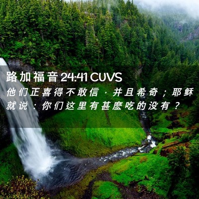 Picture 02 - 路 加 福 音 24:41 CUVS - 他 们 正 喜 得 不 敢 信 ， 并 且 希 - Bible Verse Picture