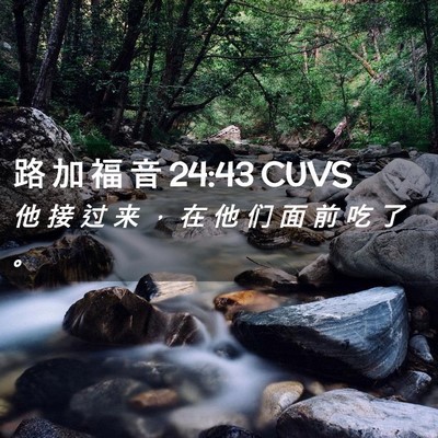 Picture 02 - 路 加 福 音 24:43 CUVS - 他 接 过 来 ， 在 他 们 面 前 吃 了 - Bible Verse Picture