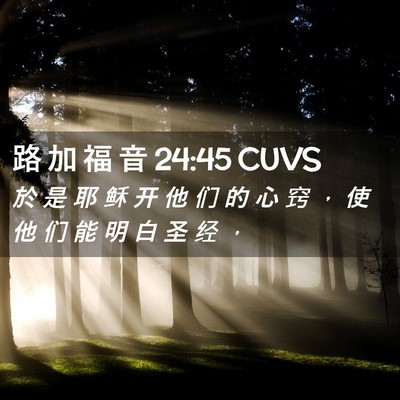 Picture 02 - 路 加 福 音 24:45 CUVS - 於 是 耶 稣 开 他 们 的 心 窍 ， 使 - Bible Verse Picture