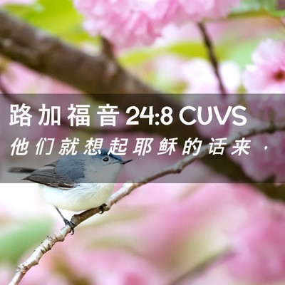 Picture 02 - 路 加 福 音 24:8 CUVS - 他 们 就 想 起 耶 稣 的 话 来 - Bible Verse Picture