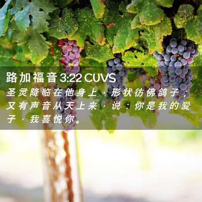 Picture 02 - 路 加 福 音 3:22 CUVS - 圣 灵 降 临 在 他 身 上 ， 形 状 彷 - Bible Verse Picture