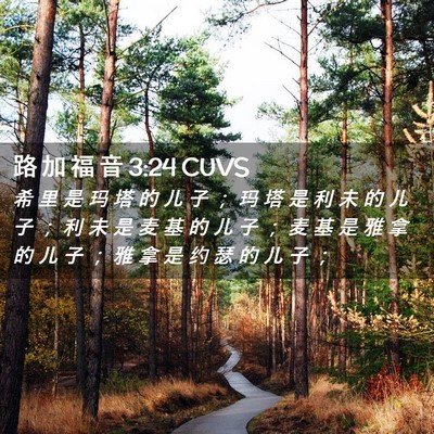 Picture 02 - 路 加 福 音 3:24 CUVS - 希 里 是 玛 塔 的 儿 子 ； 玛 塔 是 - Bible Verse Picture